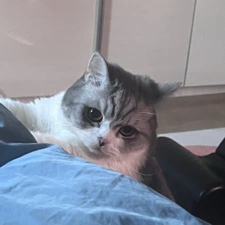 비타집사