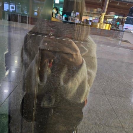 꼼듕