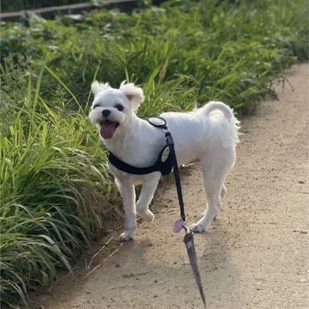 차은서