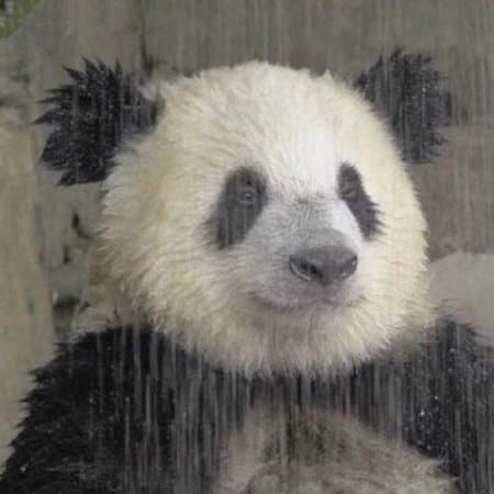 무루팍치