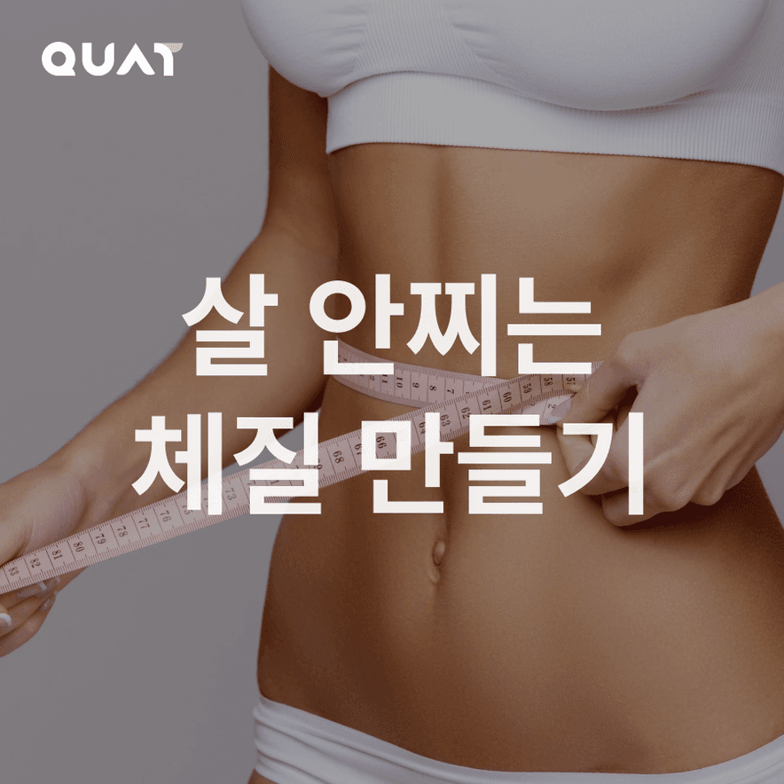살 안찌는 체질 만들기