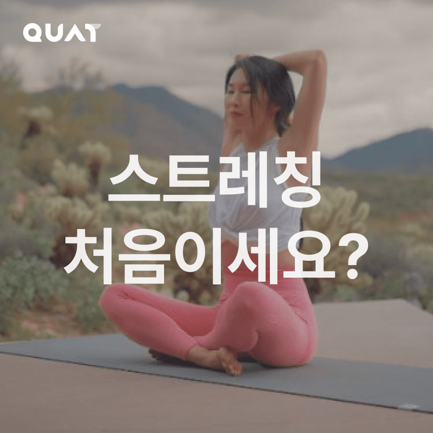 콰트 맛보기 하루 10분 스트레칭 루틴