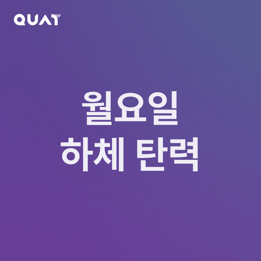 초급자용 월요일 루틴