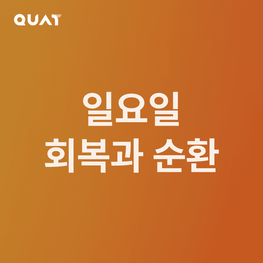 초급자용 일요일 루틴