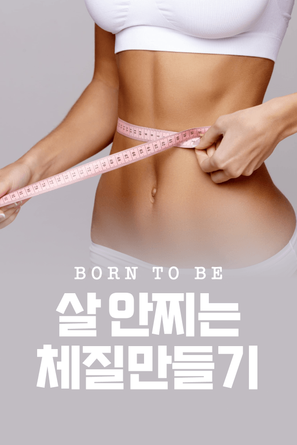 살 안찌는 체질 만들기