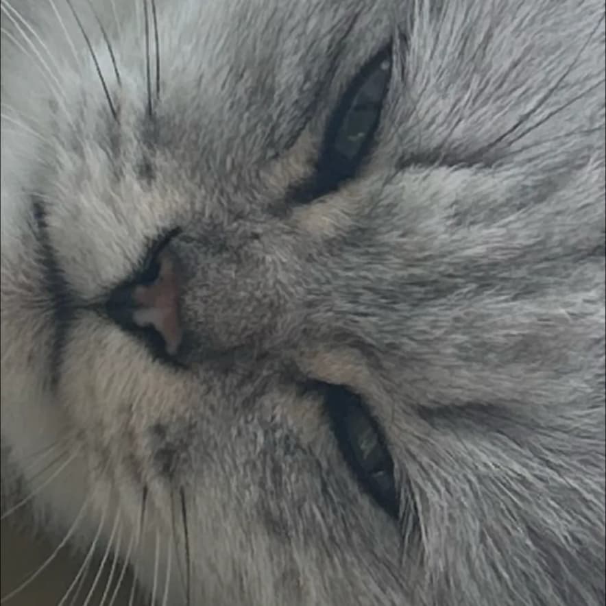 오둥이크루