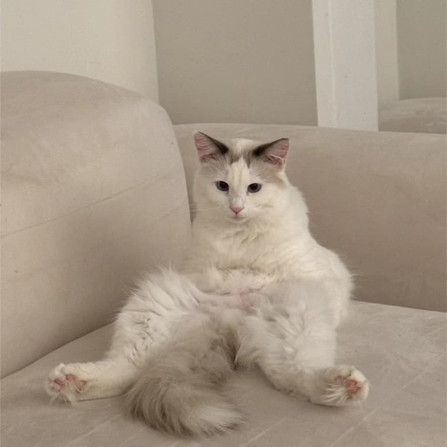 이만지